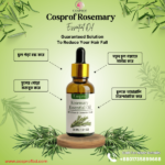 Rosemary Essential Oil 30 ml - Image 2