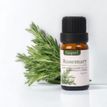 Rosemary Essential oil 10 ml