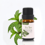 Tea Tree Essential Oil 10 ml
