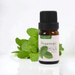 Peppermint Essential Oil 10 ml