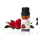 Rose Essential Oil 10 ml