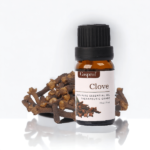 Clove Essentia Oil 10 ml