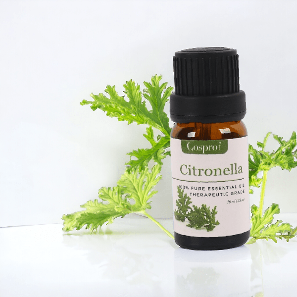 Photoroom-20240221_124957-min Citronella Essential Oil 10 ml - Image 1