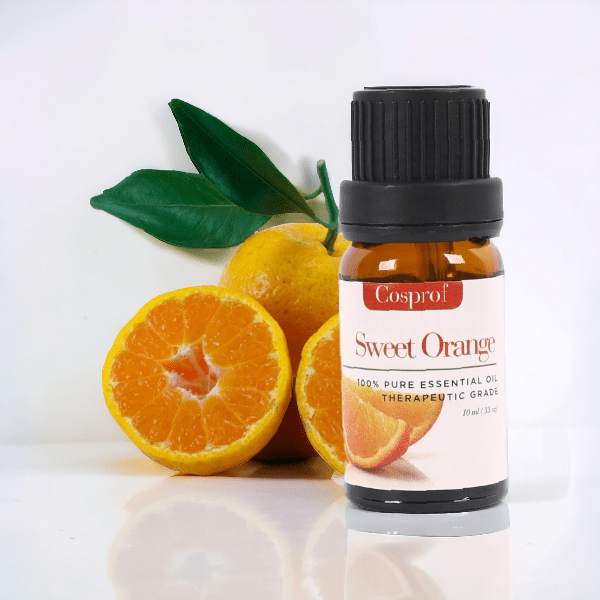 Photoroom-20240221_125118-min Sweet Orange Essential Oil 10 ml - Image 1