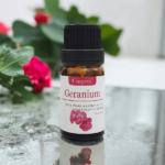 Geranium Essential Oil 10 ml - Image 2