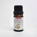 Rajnigandha Essential oil 10 ml