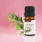 Eucalyptus Essential Oil 10 ml - Image 2