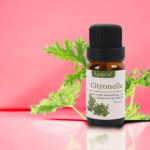 Citronella Essential Oil 10 ml - Image 2