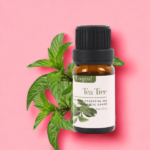 Tea Tree Essential Oil 10 ml - Image 2