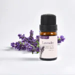 Lavender Essential Oil 10 ml