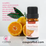 Sandalwood Essential Oil 10 ml - Image 3