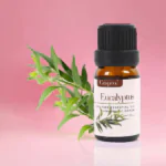 Sandalwood Essential Oil 10 ml - Image 4