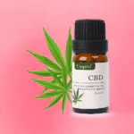 Sandalwood Essential Oil 10 ml - Image 6