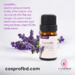 Sandalwood Essential Oil 10 ml - Image 10