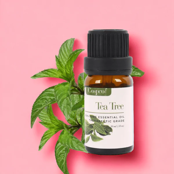 Sandalwood Essential Oil 10 ml - Image 19